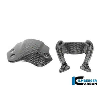 Saute-vent carbone pour BMW R 12 nineT | Ilmberger Carbon