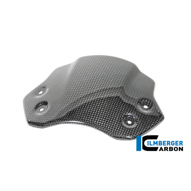 Saute-vent carbone pour BMW R 12 nineT | Ilmberger Carbon
