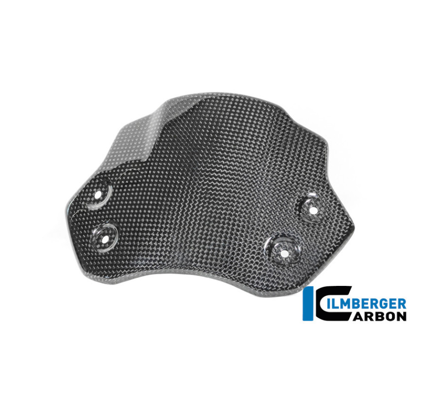 Saute-vent carbone pour R 12 nineT & R 12 S