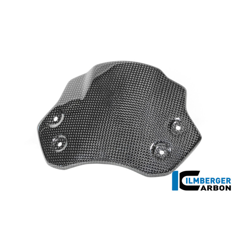 Saute-vent carbone pour R 12 nineT & R 12 S