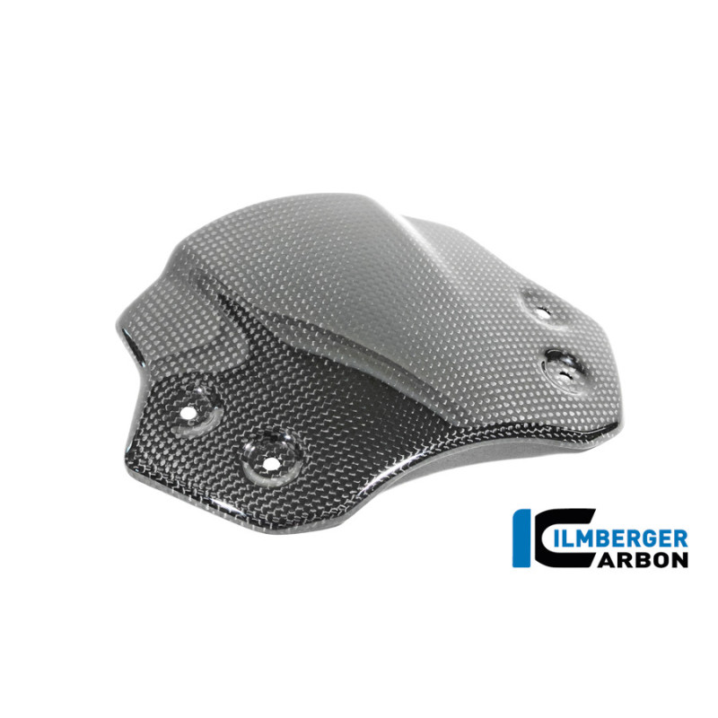 Saute-vent carbone pour BMW R 12 nineT | Ilmberger Carbon