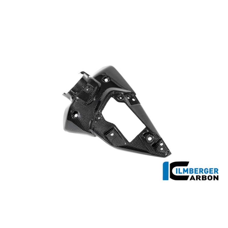 Cache de boîte à air gauche carbone pour BMW R 12 nineT | Ilmberger Carbon