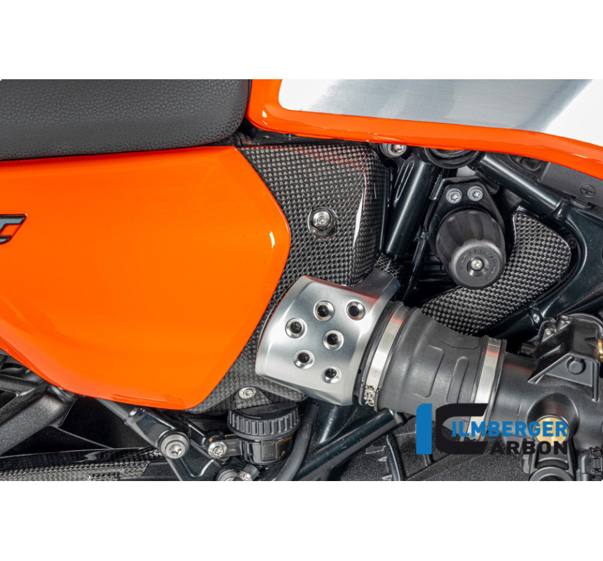 Cache de boîte à air droit carbone pour R 12 nineT & R 12 S