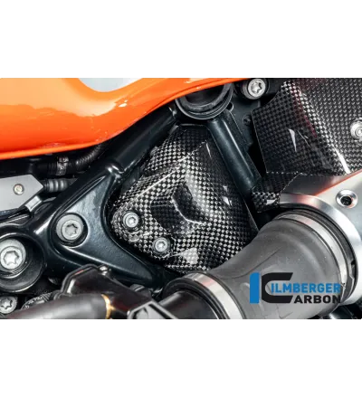 Cache de reniflard de réservoir carbone pour BMW R 12 nineT | Ilmberger Carbon
