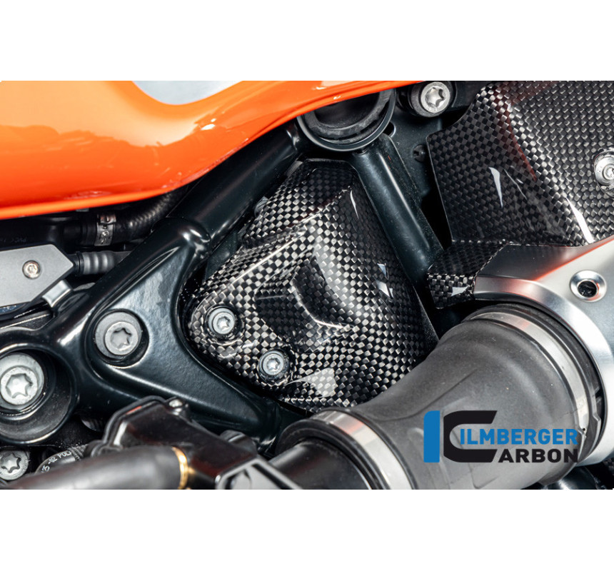 Cache de reniflard de réservoir carbone pour BMW R 12 nineT | Ilmberger Carbon