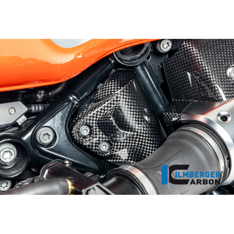 Cache de reniflard de réservoir carbone pour BMW R 12 nineT | Ilmberger Carbon