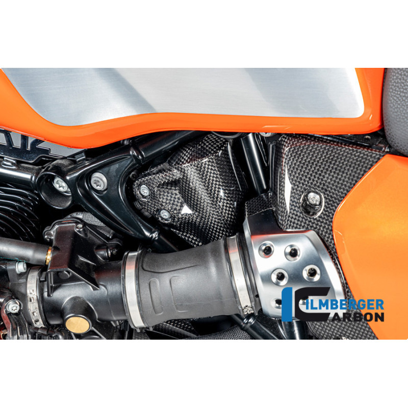 Cache de reniflard de réservoir carbone pour BMW R 12 nineT | Ilmberger Carbon