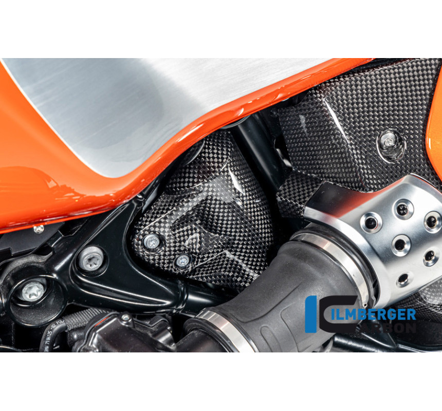Cache de reniflard de réservoir carbone pour R 12 nineT & R 12 S