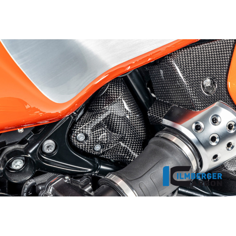 Cache de reniflard de réservoir carbone pour R 12 nineT & R 12 S