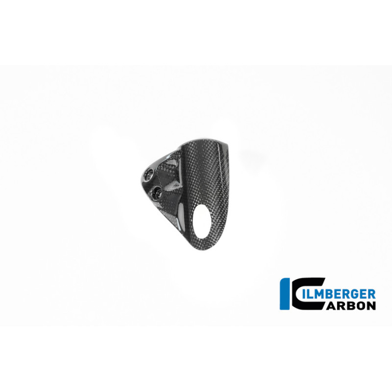 Cache de reniflard de réservoir carbone pour BMW R 12 nineT | Ilmberger Carbon