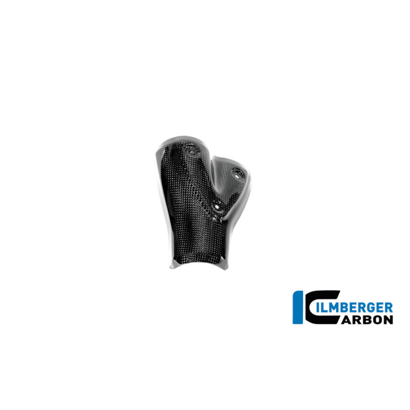 Protection thermique d'échappement carbone pour BMW R 12 nineT | Ilmberger Carbon