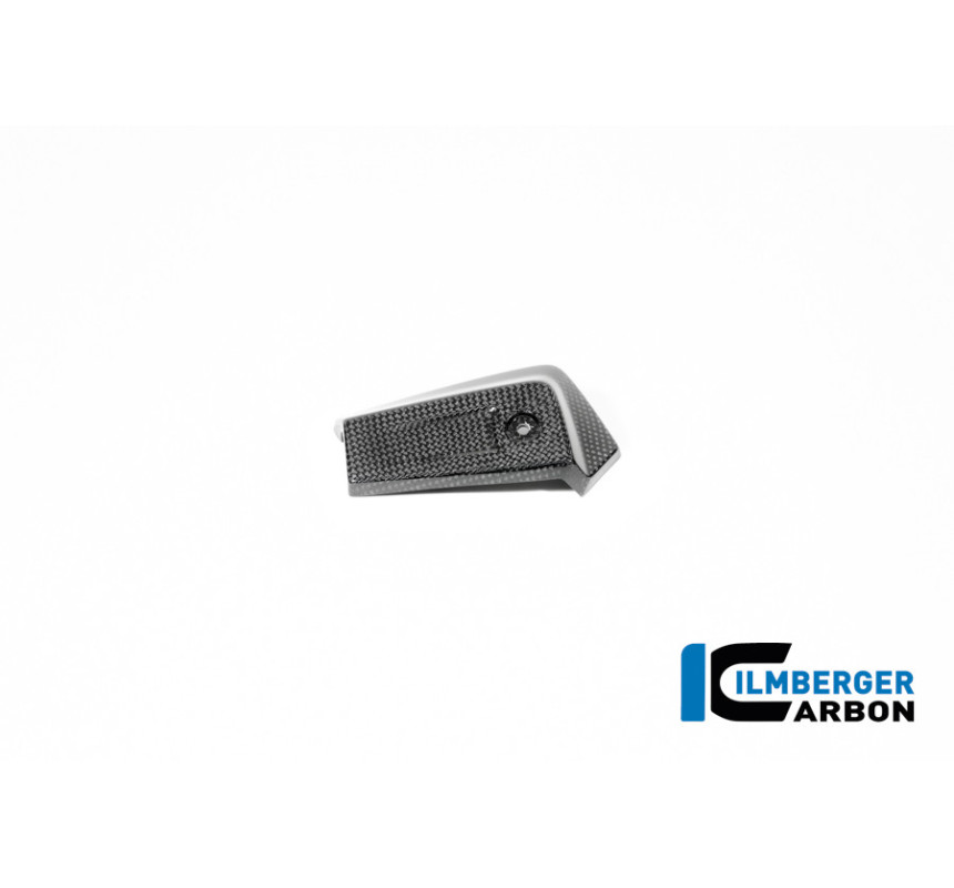 Cache de radiateur d'huile gauche carbone pour R 12 nineT & R 12 S