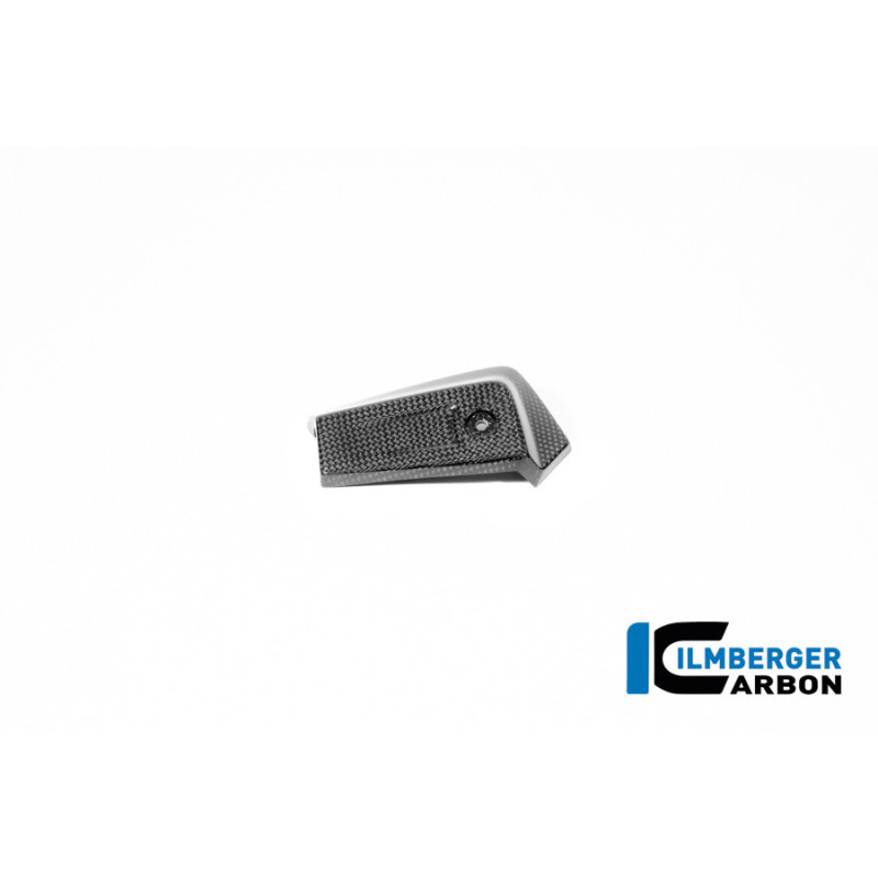 Cache de radiateur d'huile gauche carbone pour R 12 nineT & R 12 S