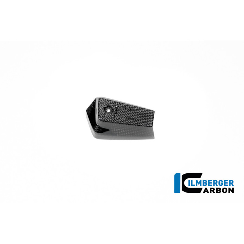 Cache de radiateur d'huile gauche carbone pour BMW R 12 nineT | Ilmberger Carbon