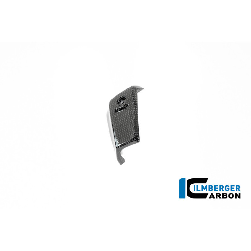Cache de radiateur d'huile gauche carbone pour BMW R 12 nineT | Ilmberger Carbon
