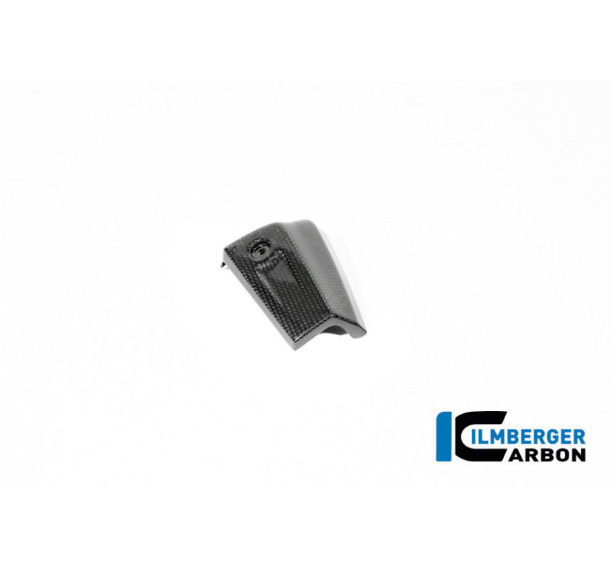 Cache de radiateur d'huile droit carbone pour R 12 nineT & R 12 S