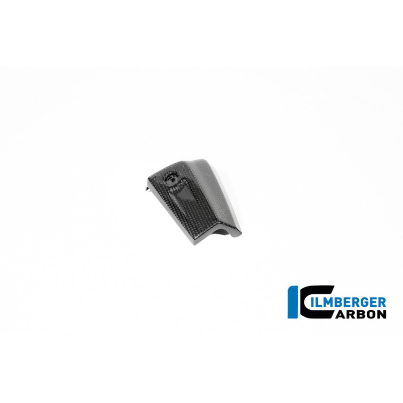 Cache de radiateur d'huile droit carbone pour R 12 nineT & R 12 S