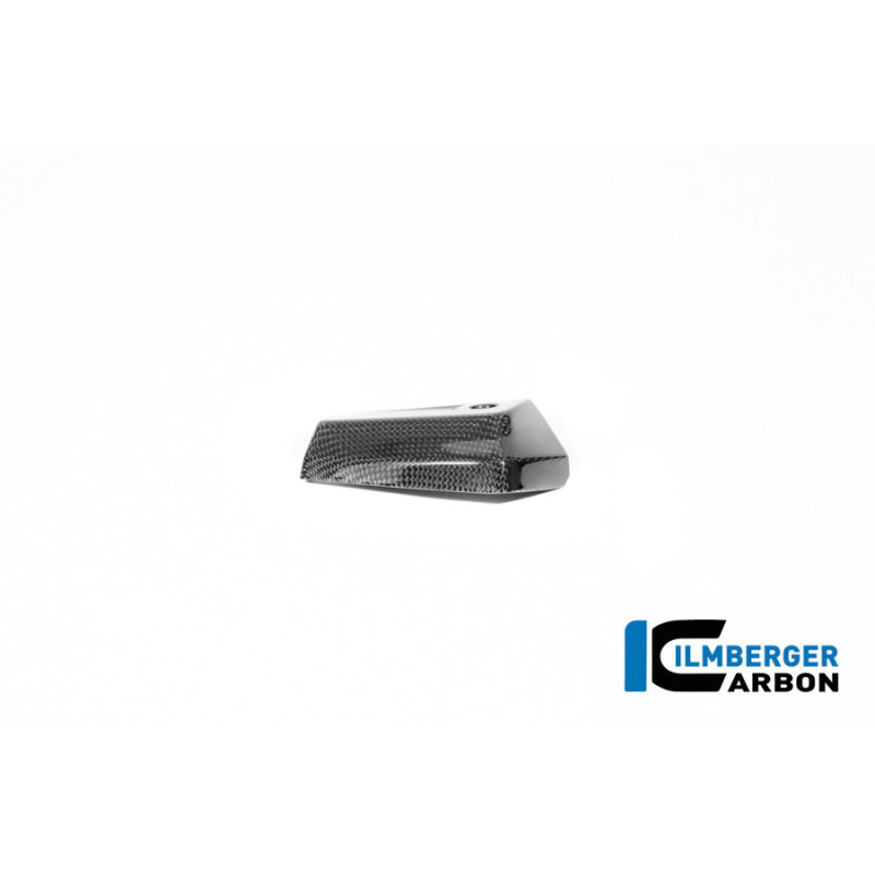Cache de radiateur d'huile droit carbone pour BMW R 12 nineT | Ilmberger Carbon