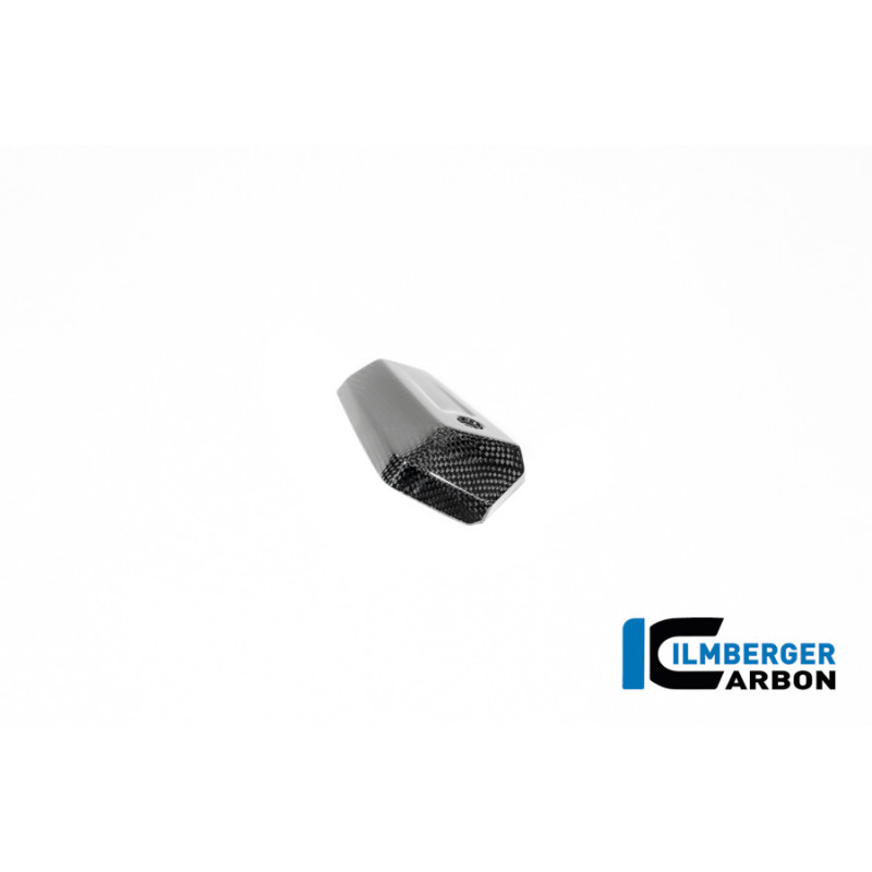 Cache de radiateur d'huile droit carbone pour BMW R 12 nineT | Ilmberger Carbon