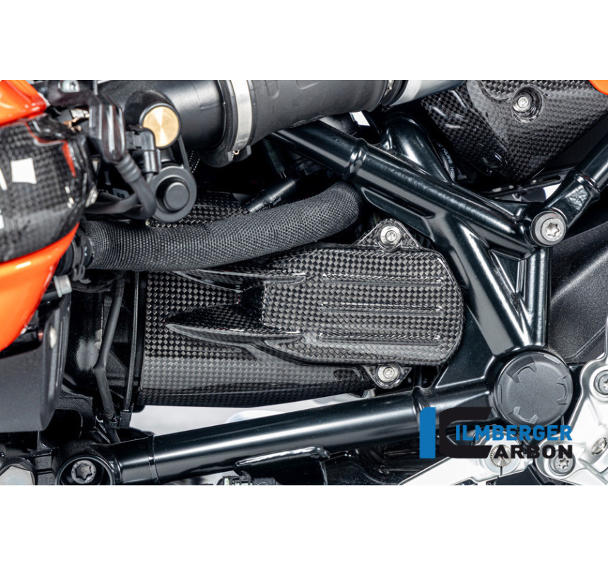 Cache de démarreur carbone pour R 12 nineT & R 12 S