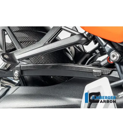 Cache de durite de frein carbone pour BMW R 12 nineT | Ilmberger Carbon