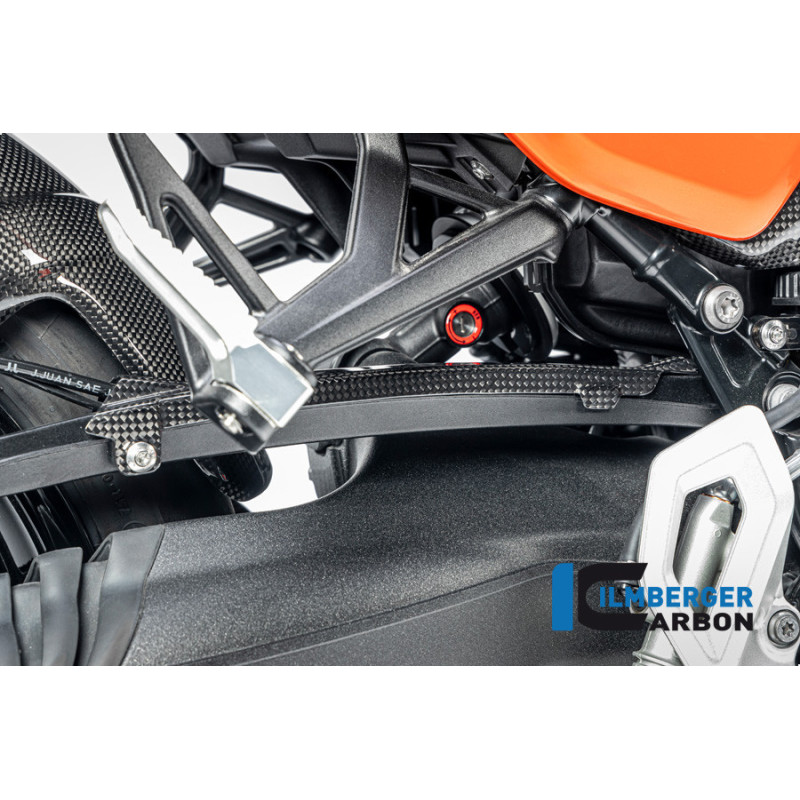 Cache de durite de frein carbone pour BMW R 12 nineT | Ilmberger Carbon