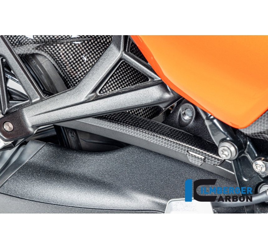 Cache de durite de frein carbone pour R 12 nineT & R 12 S
