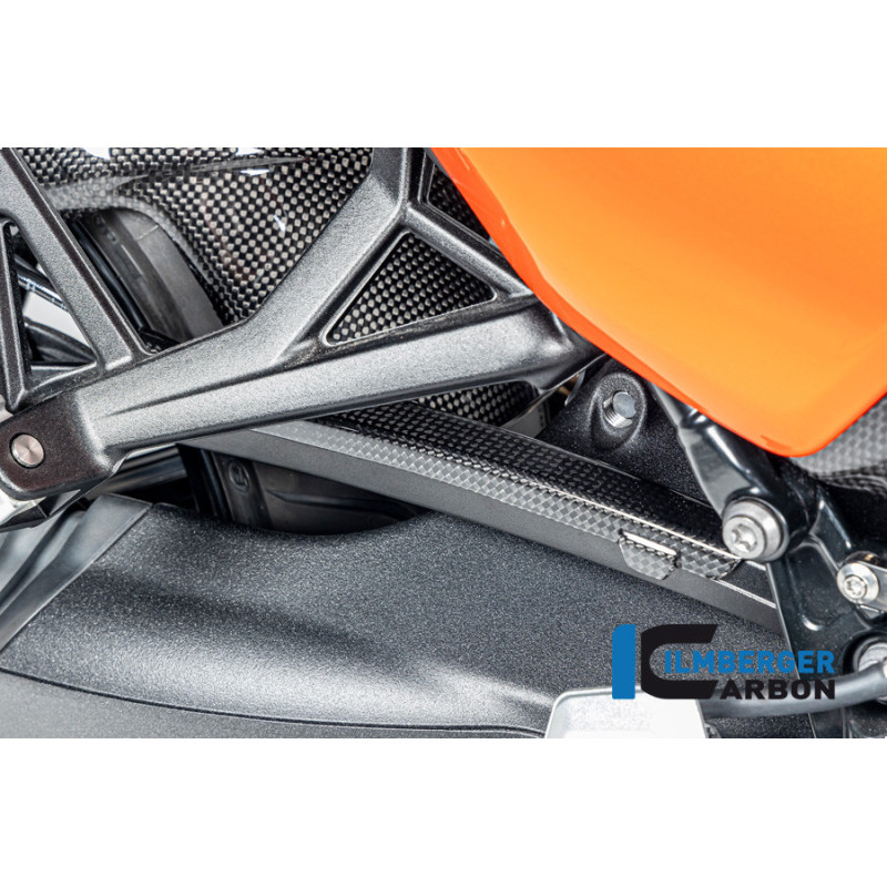 Cache de durite de frein carbone pour R 12 nineT & R 12 S