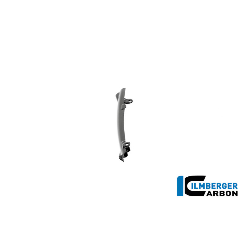 Cache de durite de frein carbone pour BMW R 12 nineT | Ilmberger Carbon