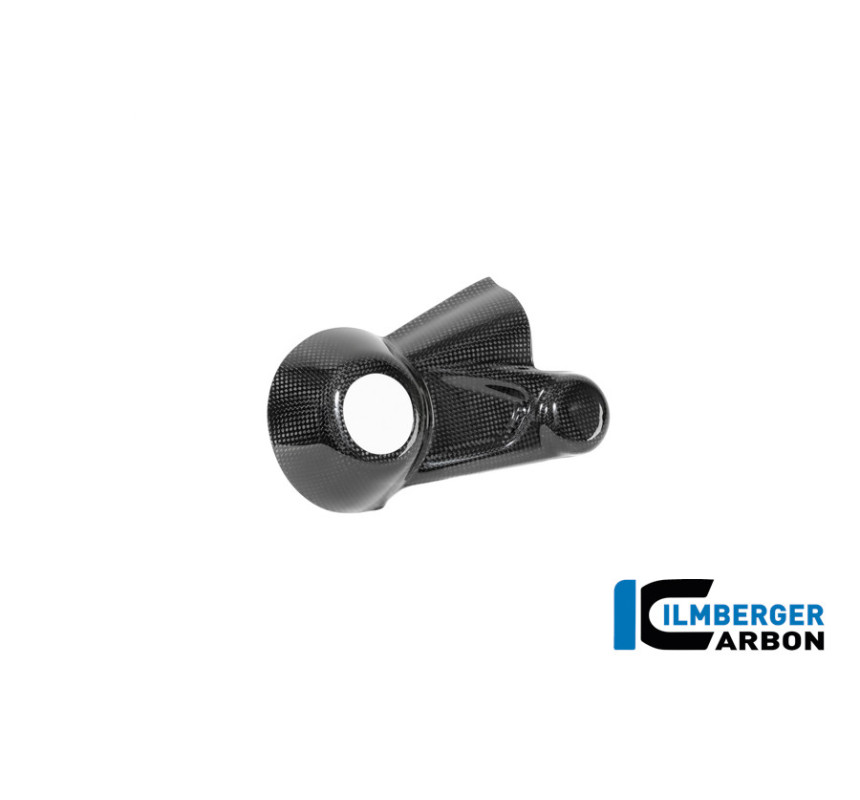 Cache de carter de cardan carbone pour R 12 nineT & R 12 S