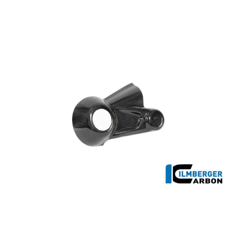 Cache de carter de cardan carbone pour BMW R 12 nineT | Ilmberger Carbon