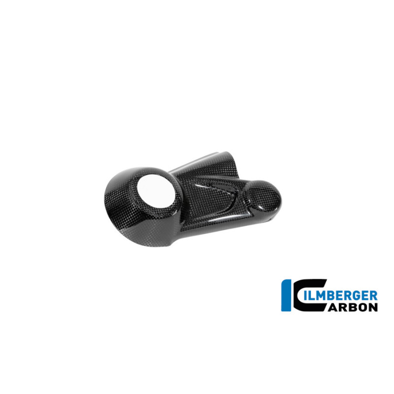 Cache de carter de cardan carbone pour BMW R 12 nineT | Ilmberger Carbon