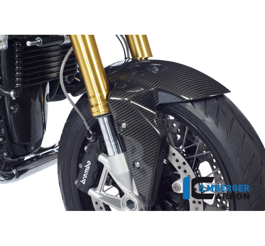 Garde-boue avant carbone pour R nineT