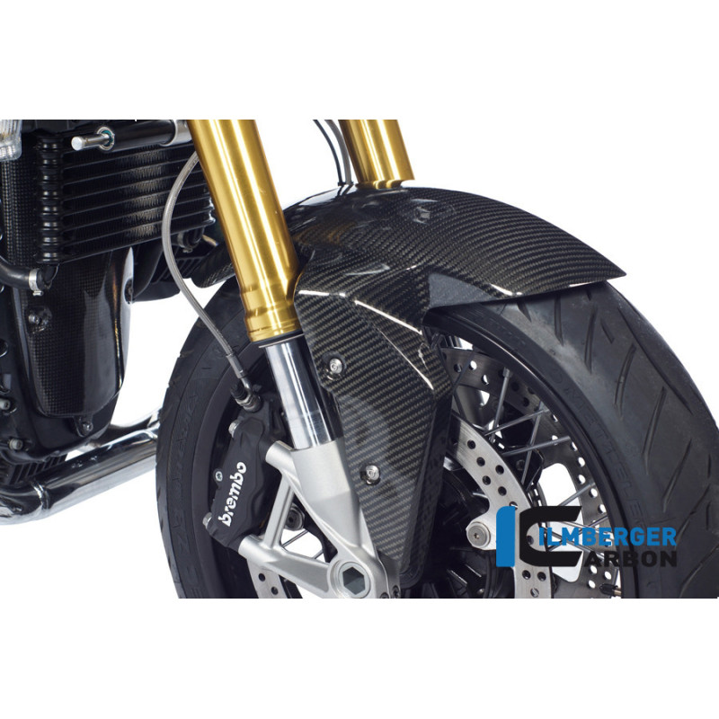 Garde-boue avant carbone pour R nineT