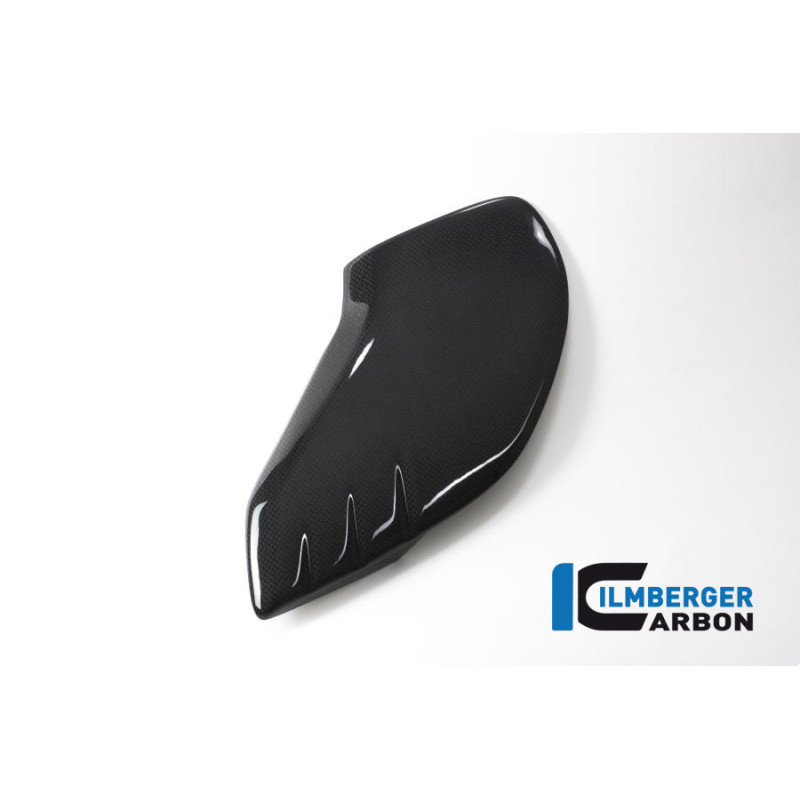 Flanc de réservoir gauche carbone pour BMW toute la gamme R nineT | Ilmberger Carbon