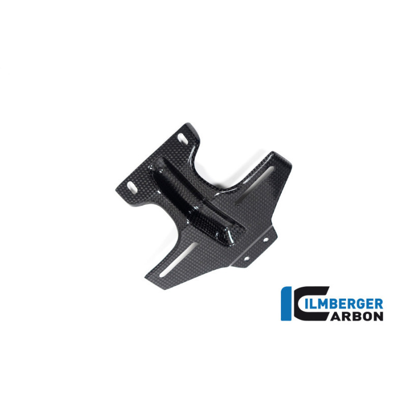 Support de plaque carbone pour R nineT