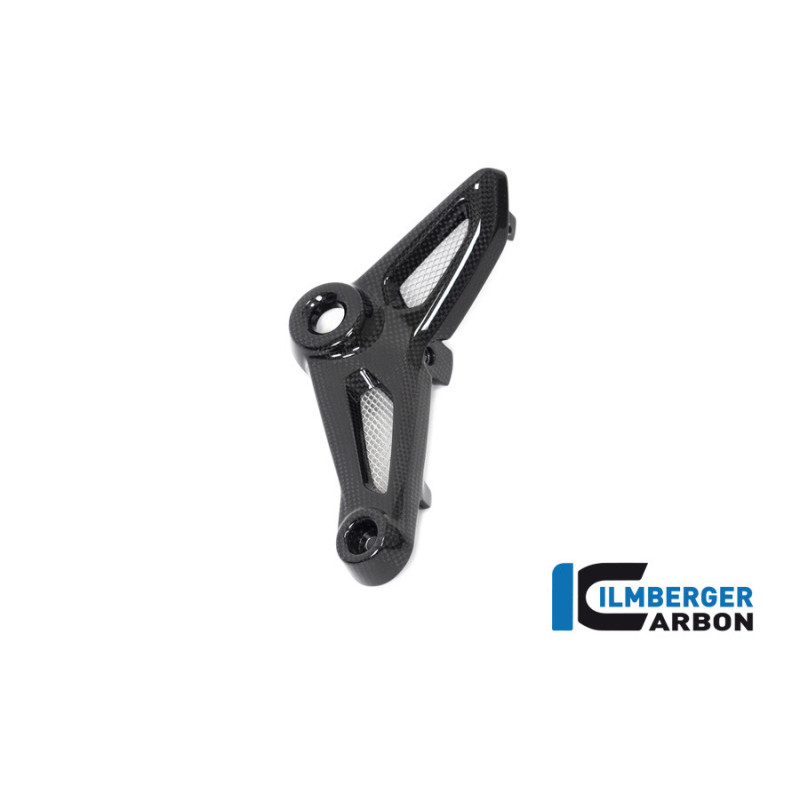 Cache de boucle arrière gauche carbone pour BMW toute la gamme R nineT | Ilmberger Carbon