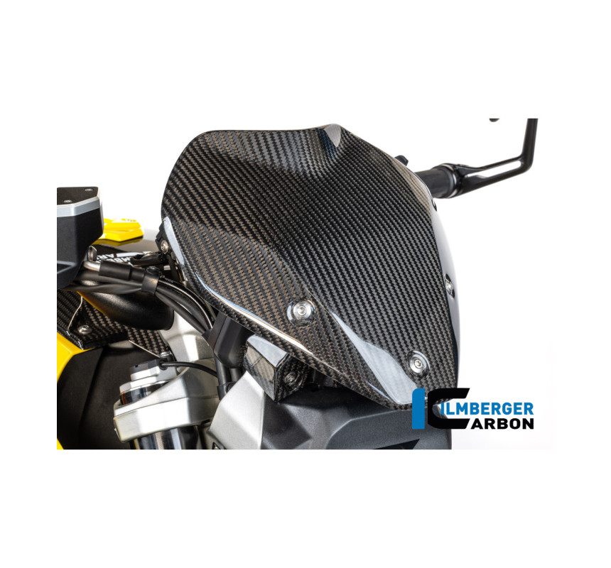 Saute-vent avec support carbone pour BMW R 1300 R | Ilmberger Carbon