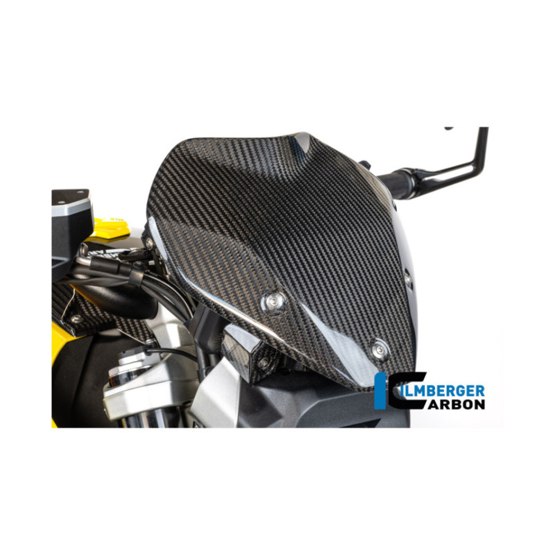 Saute-vent avec support carbone pour BMW R 1300 R | Ilmberger Carbon