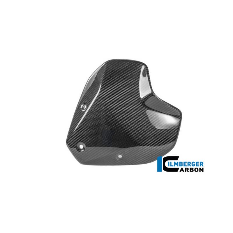 Saute-vent avec support carbone pour BMW R 1300 R | Ilmberger Carbon