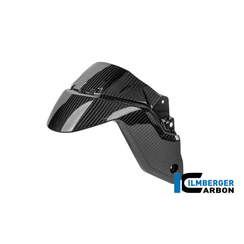 Garde-boue avant carbone pour BMW R 1300 R & RS | Ilmberger Carbon