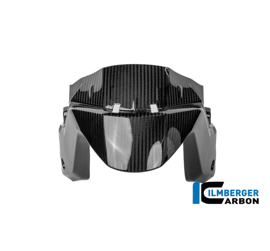 Garde-boue avant carbone pour R 1300 R & RS