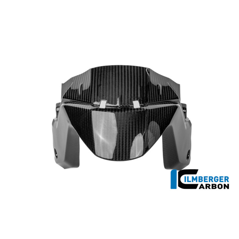 Garde-boue avant carbone pour R 1300 R & RS