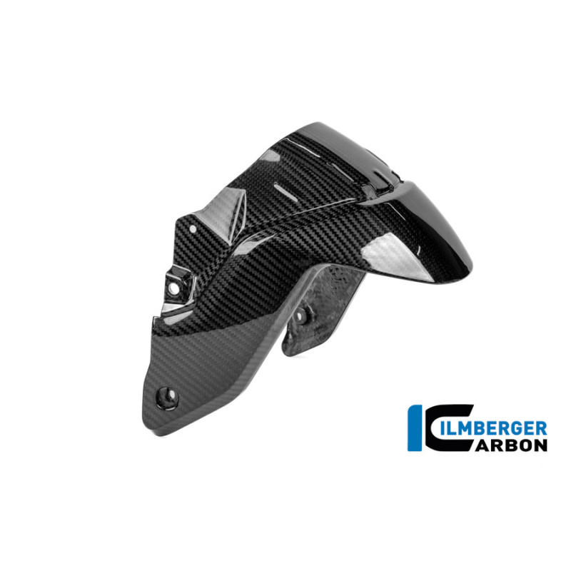 Garde-boue avant carbone pour BMW R 1300 R & RS | Ilmberger Carbon