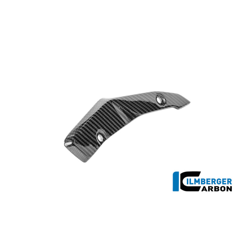 Protège-talon gauche carbone pour BMW R 1300 R & RS | Ilmberger Carbon
