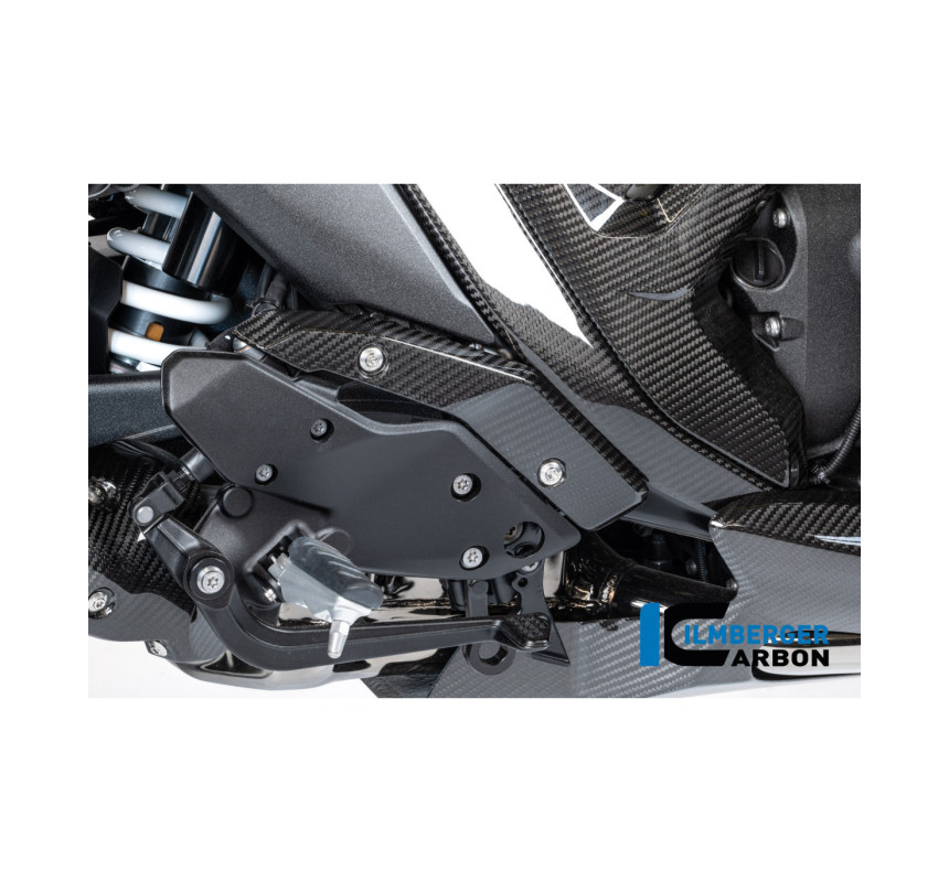 Protège-talon droit carbone pour R 1300 R & RS