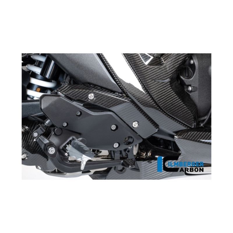 Protège-talon droit carbone pour R 1300 R & RS