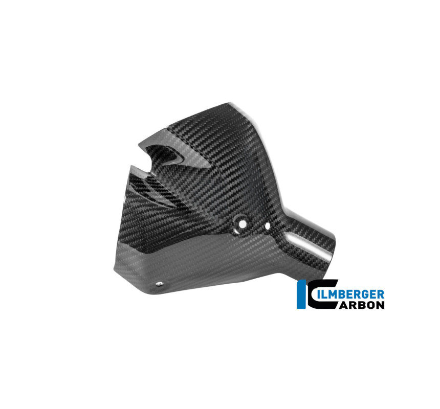 Kit de protections thermiques d'échappement carbone pour BMW R 1300 R & RS | Ilmberger Carbon