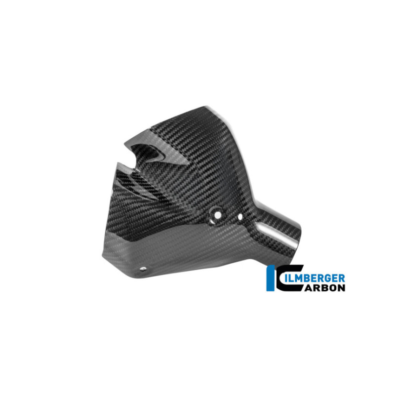 Kit de protections thermiques d'échappement carbone pour BMW R 1300 R & RS | Ilmberger Carbon