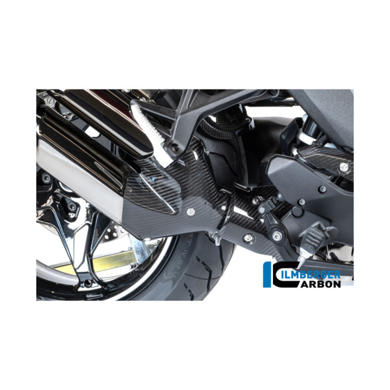 Kit de protections thermiques d'échappement carbone pour BMW R 1300 R & RS | Ilmberger Carbon